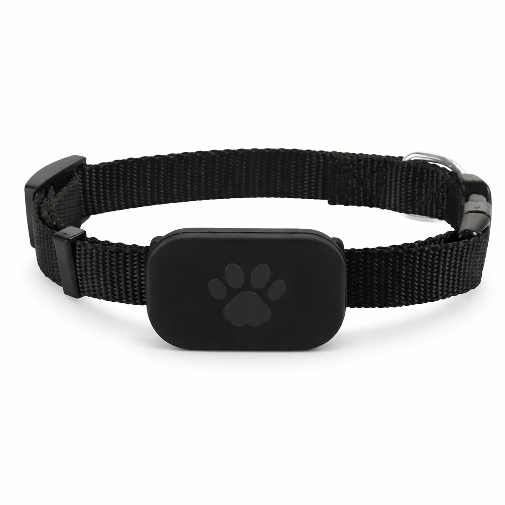 Because every moment apart feels longer, stay close to your pet wherever they go.