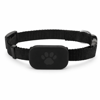 Because every moment apart feels longer, stay close to your pet wherever they go.