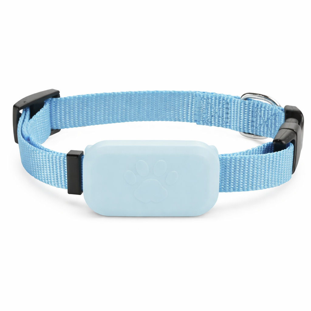 Because every moment apart feels longer, stay close to your pet wherever they go.