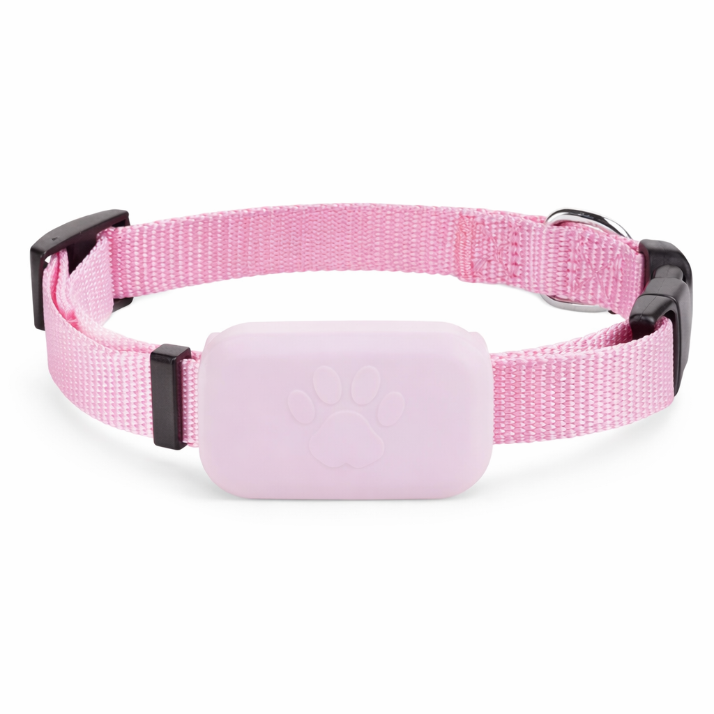 Because every moment apart feels longer, stay close to your pet wherever they go.