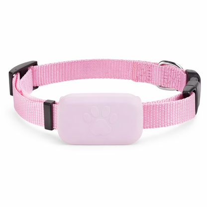 Because every moment apart feels longer, stay close to your pet wherever they go.