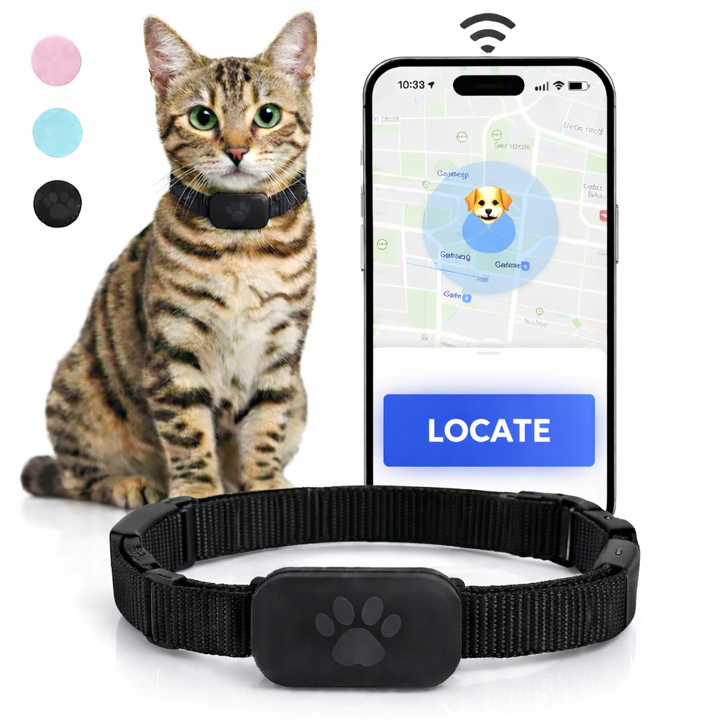 Because every moment apart feels longer, stay close to your pet wherever they go.